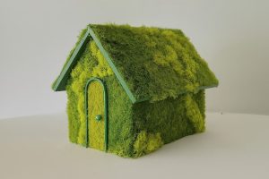 greenmanifestohero-300x200.jpg